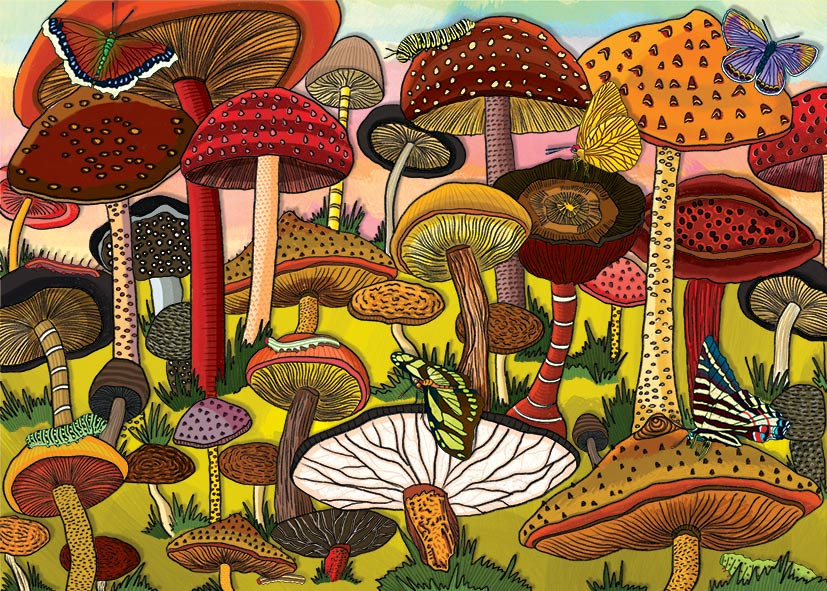 Mushroom Kingdom