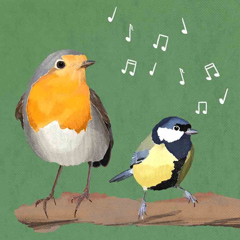 Song Birds