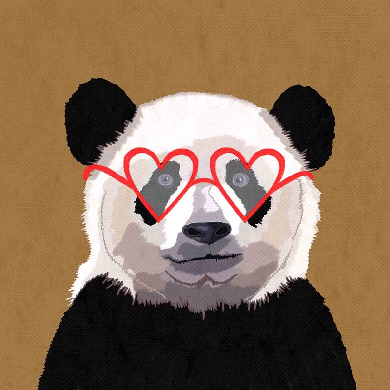 Cool Panda