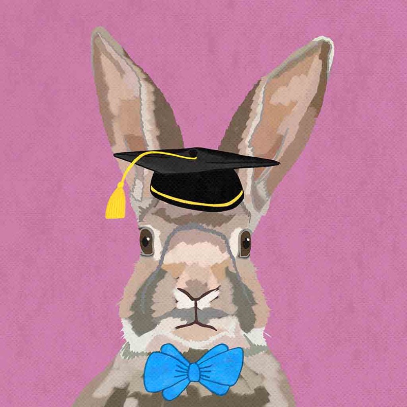 Scholar Rabbit