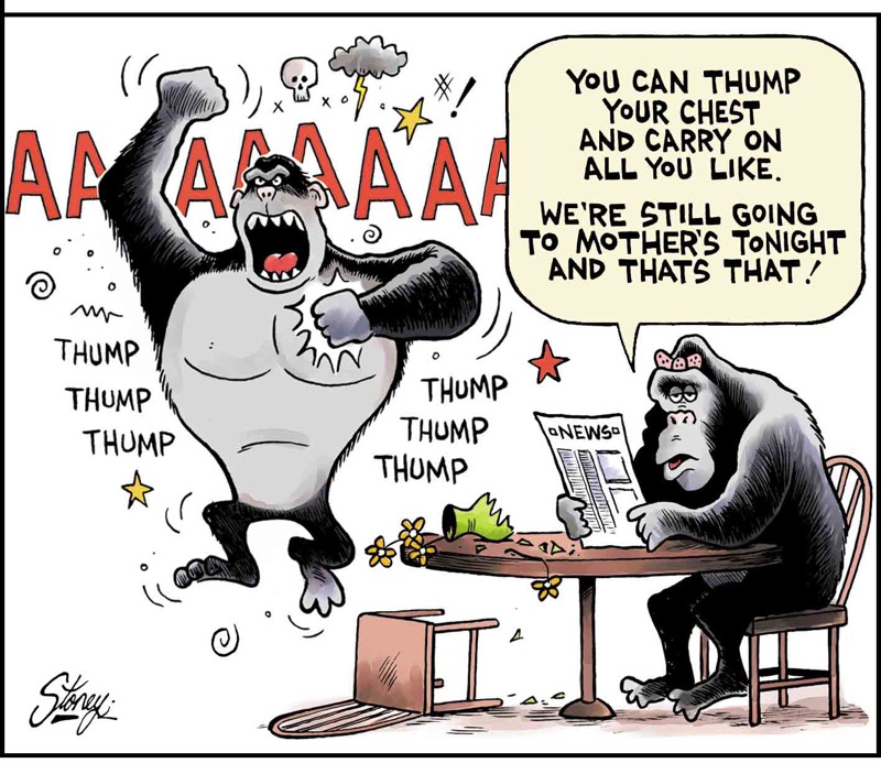 Gorilla Tantrum