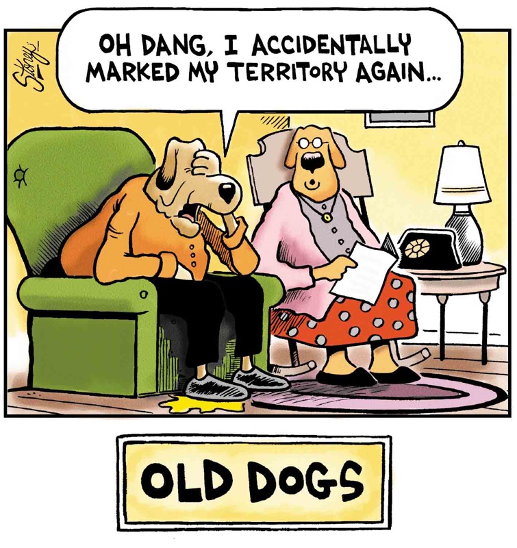 Old Dogs