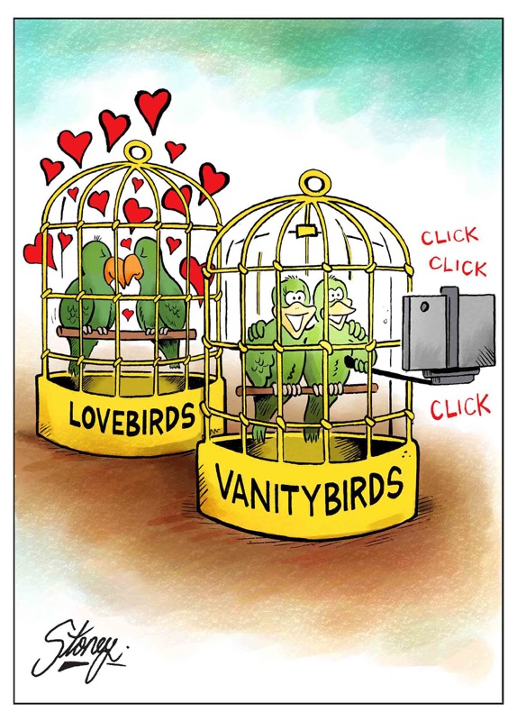 Vanity Birds