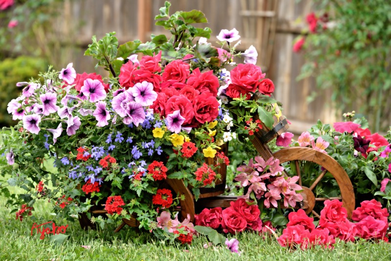 Spring Flowers on Wooden Wagon 9966S