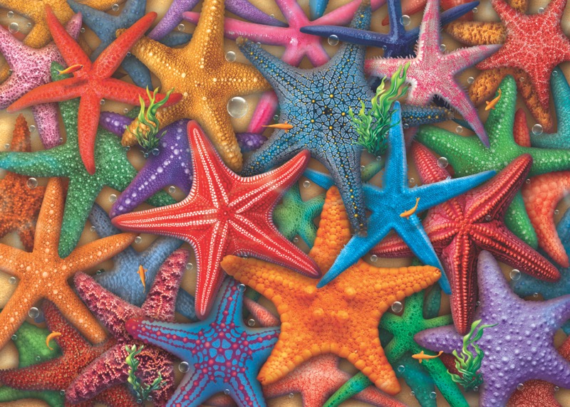 Vibrant Starfish