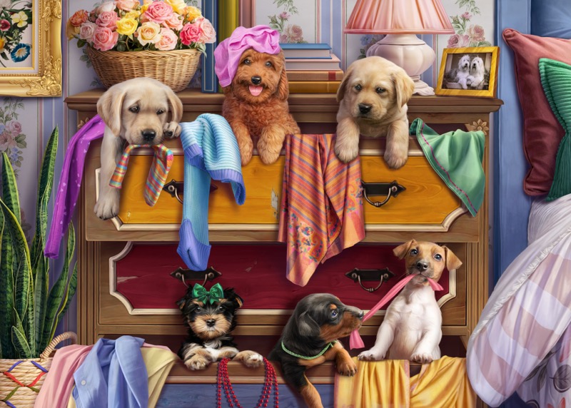 Puppies in Drawers