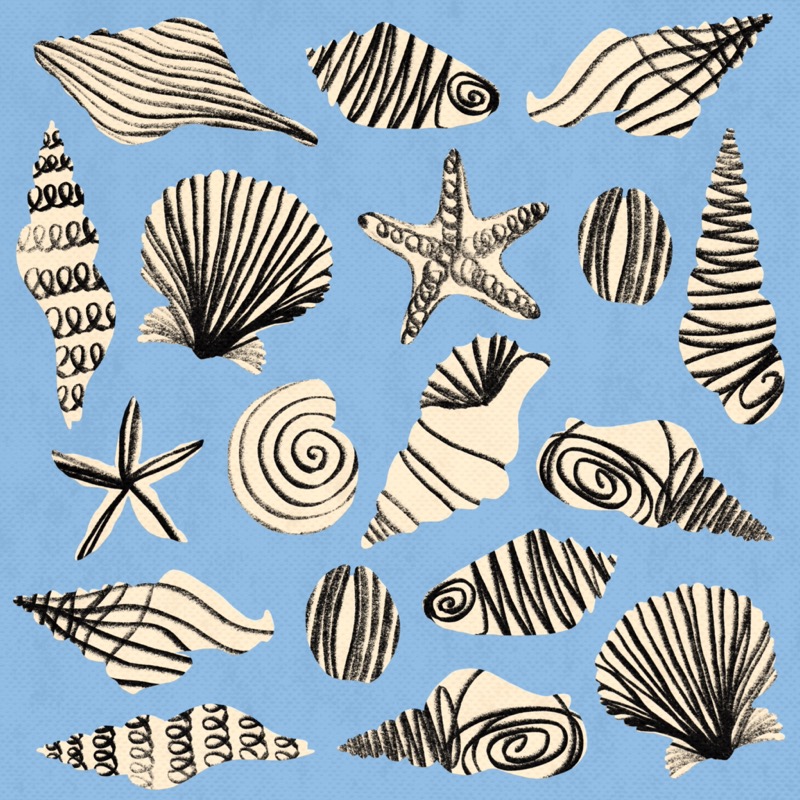 Shells