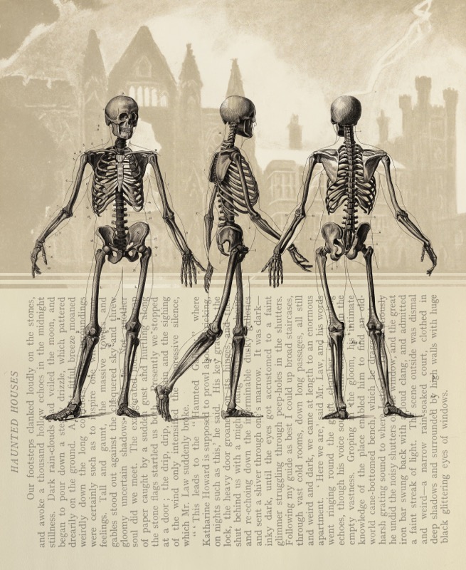 Haunted Houses Skellies