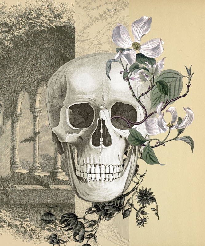 Skull Flowers