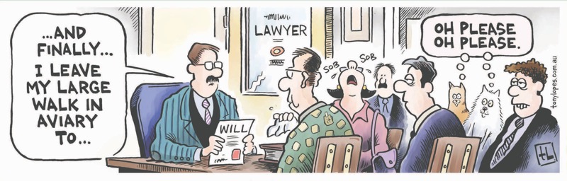 Large Walk in Aviary