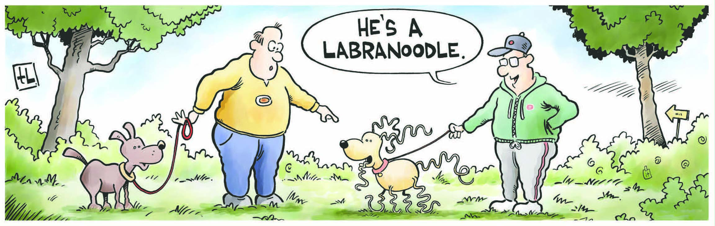 Labranoodle