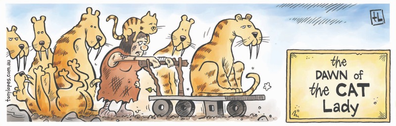 The Dawn of the Cat Lady