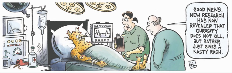 Curiosity Does Not Kill