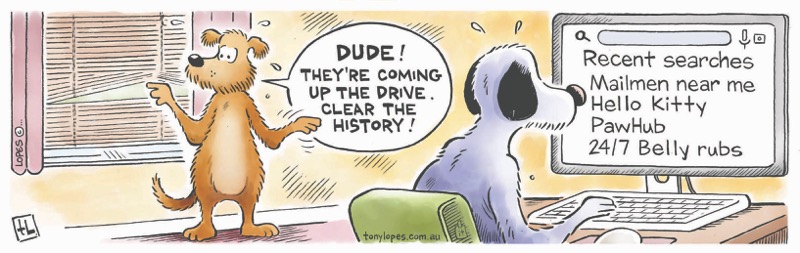 Clear Search History