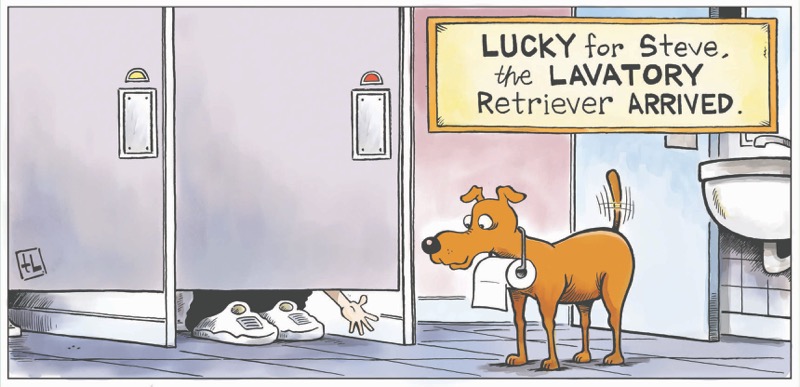 Lavatory Retriever