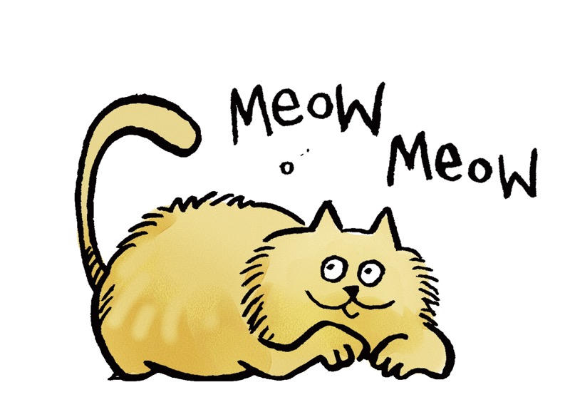 Meow Cat