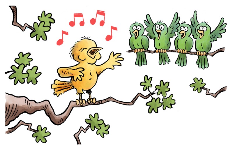 Singing birds