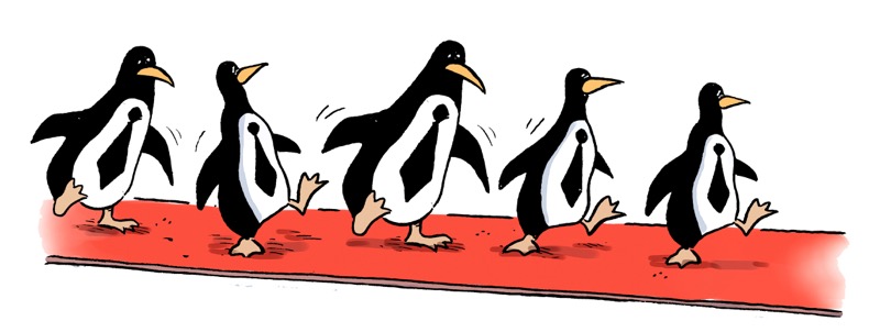 Red carpet penguins