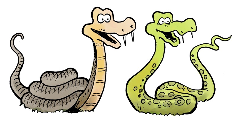 Snakes