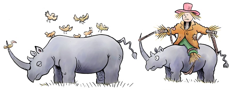 Rhinos with Scarecrow