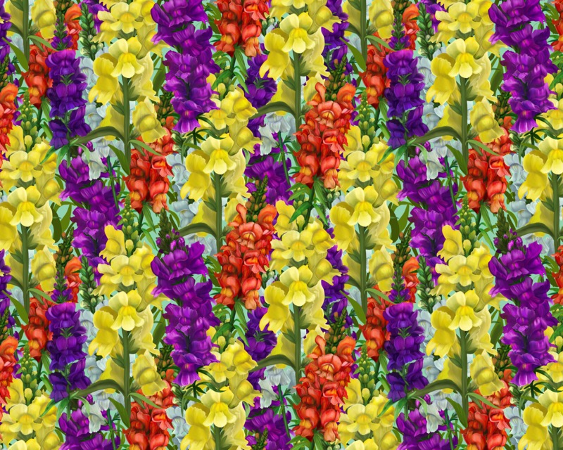 SnapDragons (Pattern)