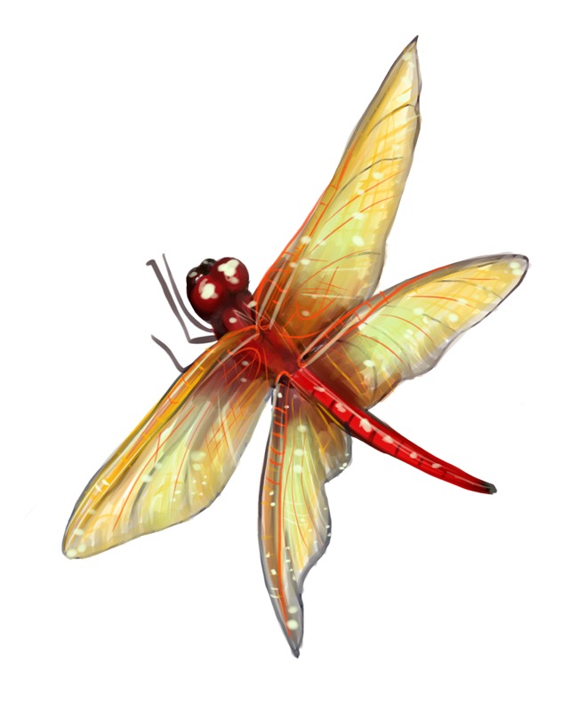 Dragonfly Red