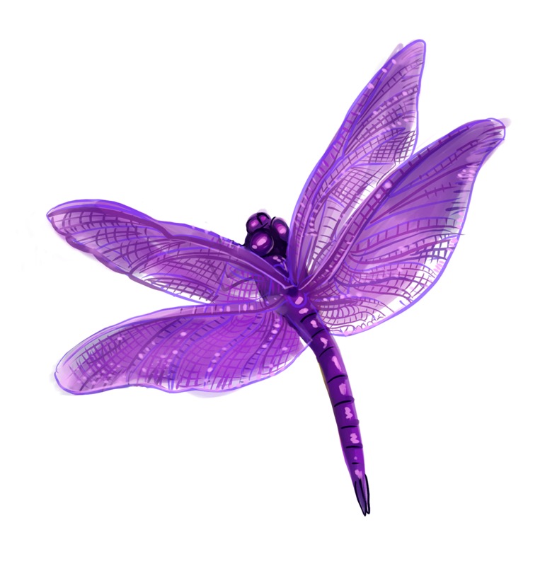Dragonfly Purple