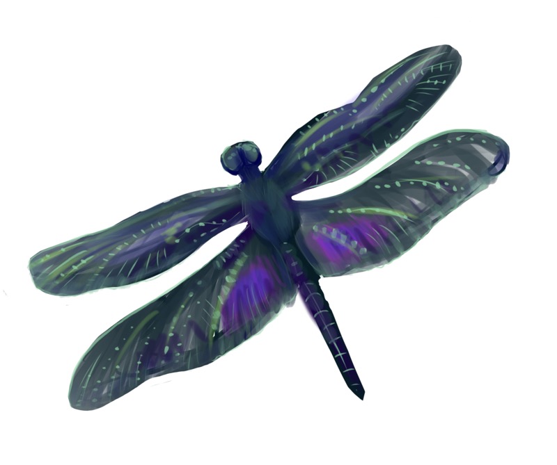Dragonfly Black