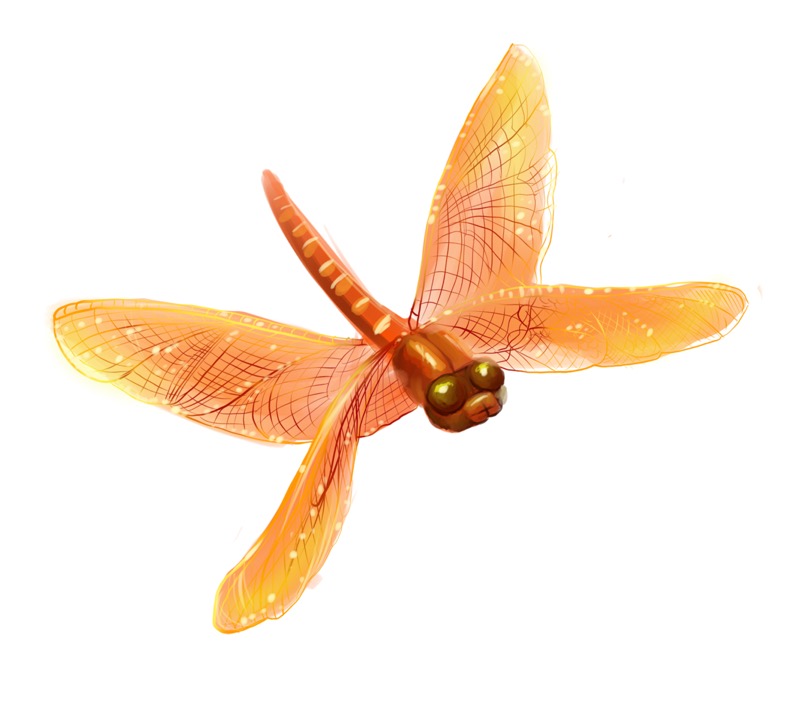 Dragonfly Orange