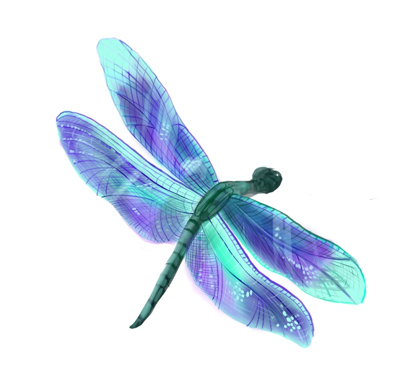 Dragonfly Green Purple