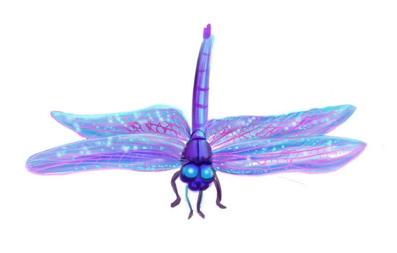 Dragonfly Galaxy