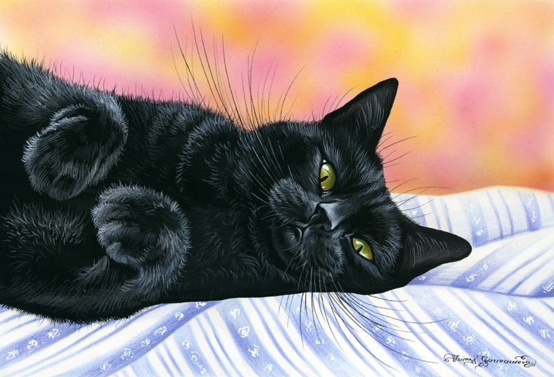 Strokes and Gradients