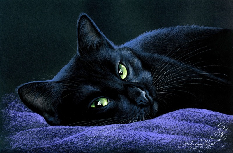 Black Cat Green Eyes