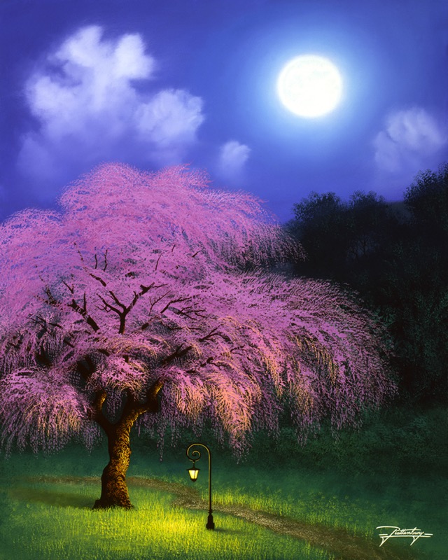 JR-257 Midnight Blossom