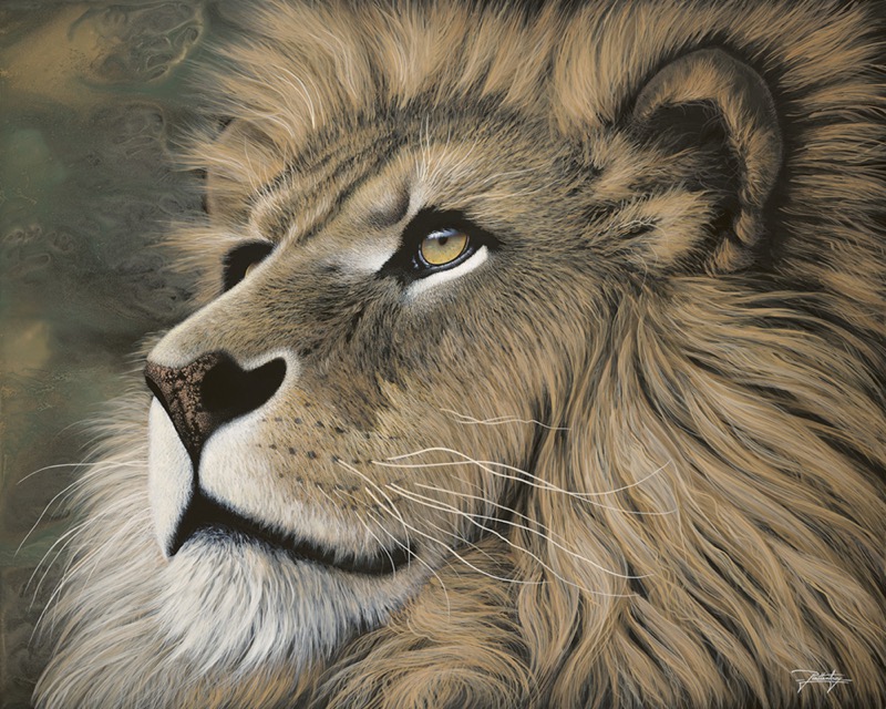 JR-597 Silent Wisdom