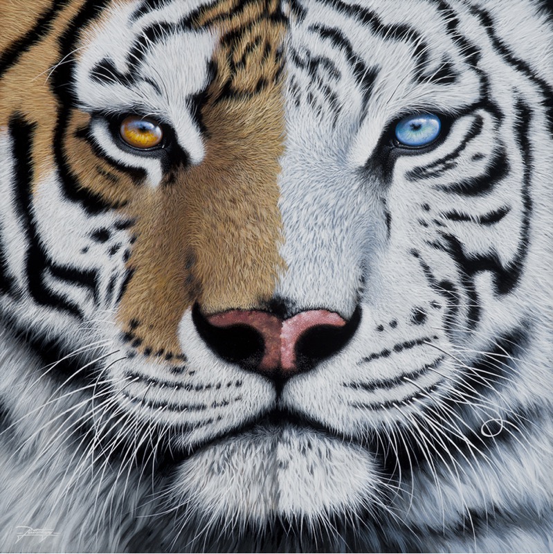 JR-793 Split Personality 24×24