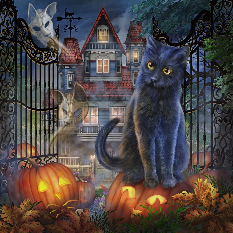 Halloween Cat