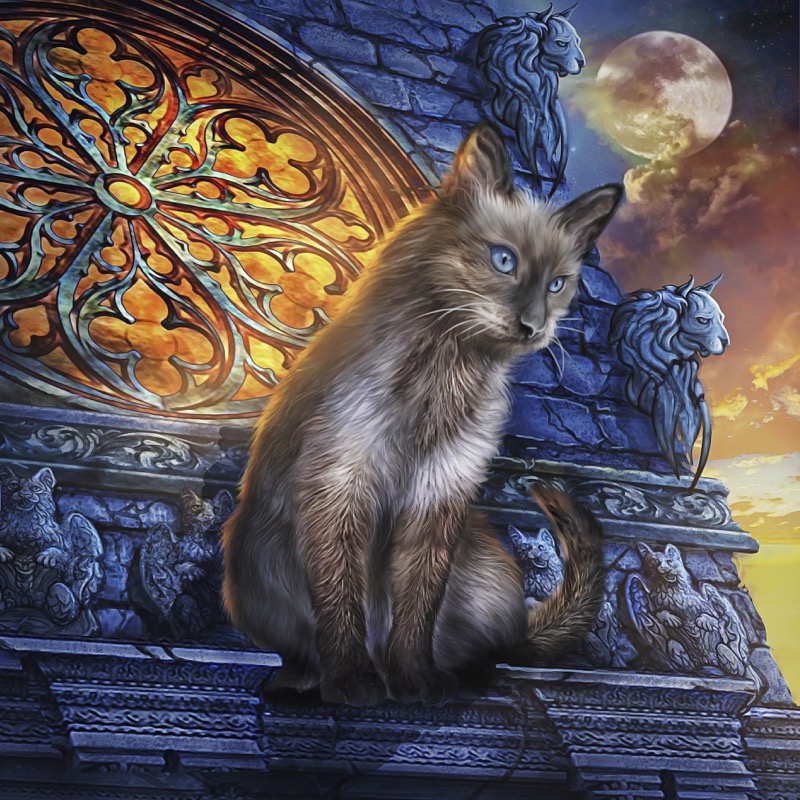 Gargoyle Cat