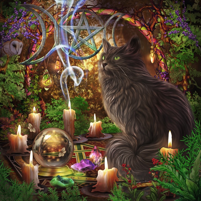 Wiccan Cat