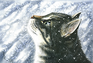 Cat In Snow Flakes