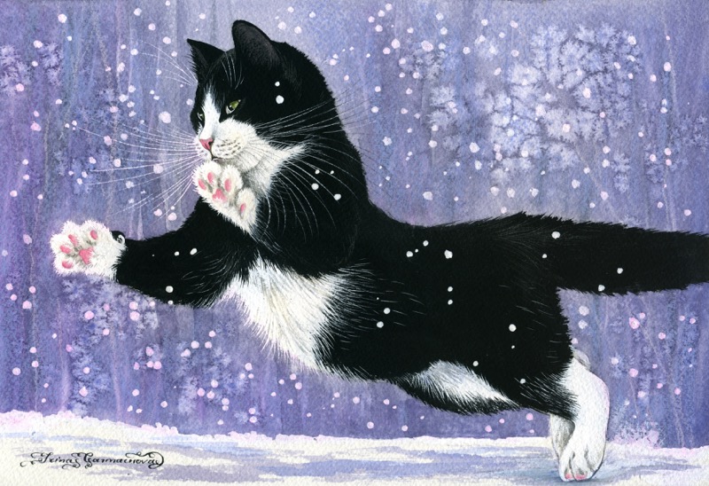 Cat Leaping In Snow