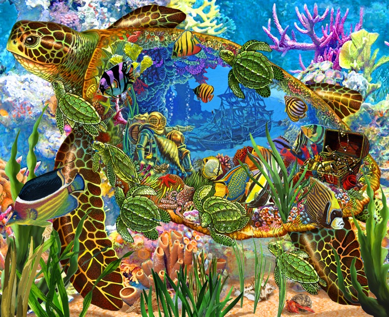 Coral Reef Sea Turtles