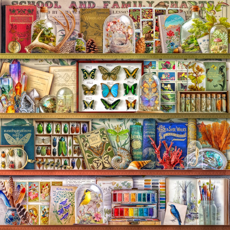 Nature’s Treasures Shelf