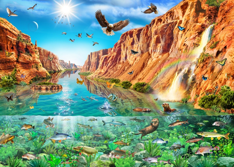 Over under Colorado River