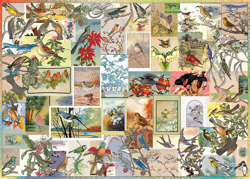 Vintage Bird Postcards