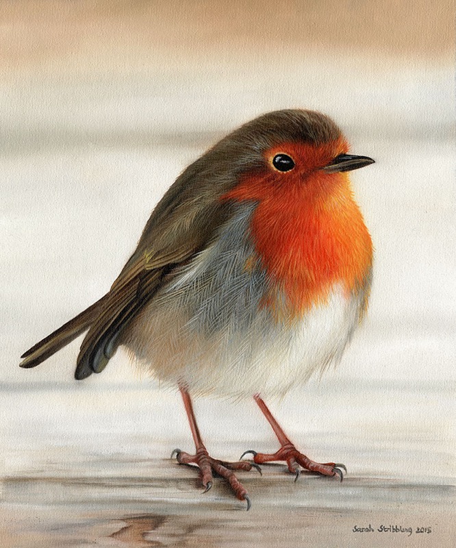 Robin
