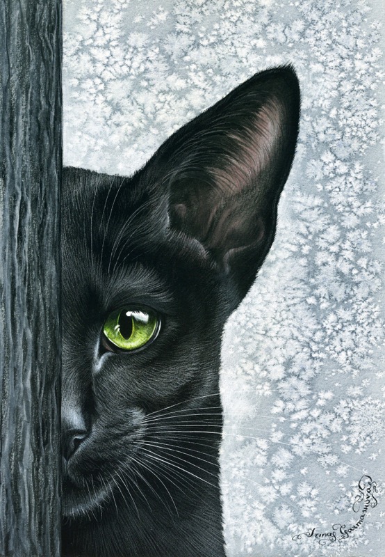 You Are Being Watched