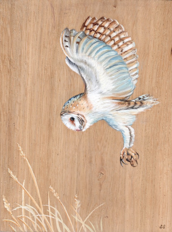 Barn owl wood panel