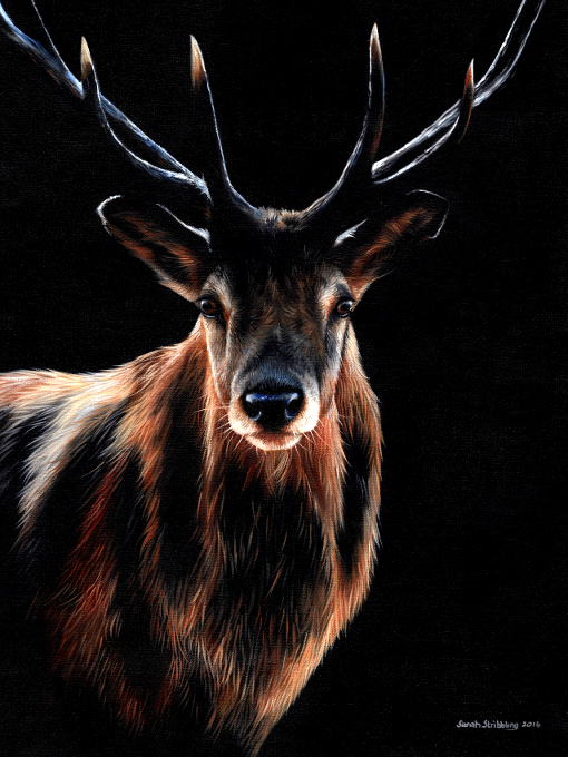 Stag oils