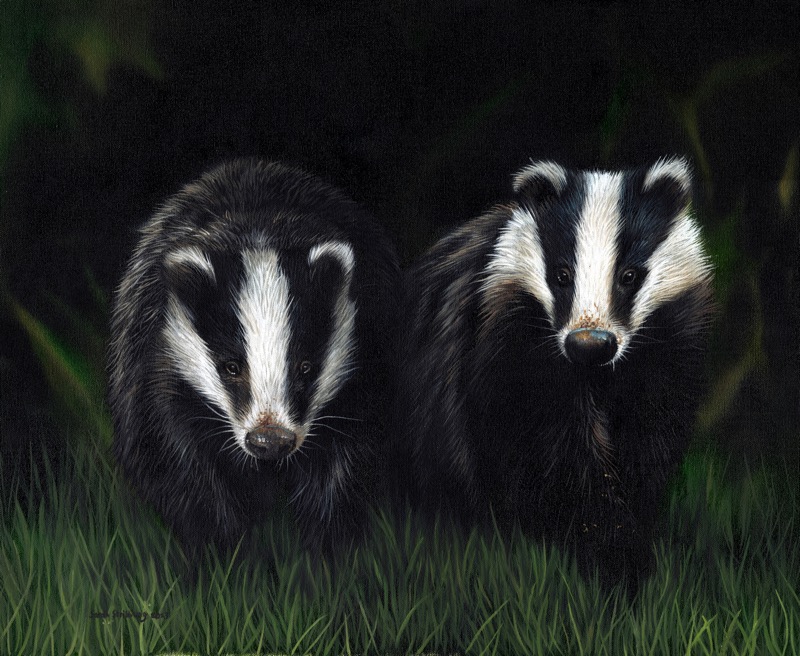 Badgers